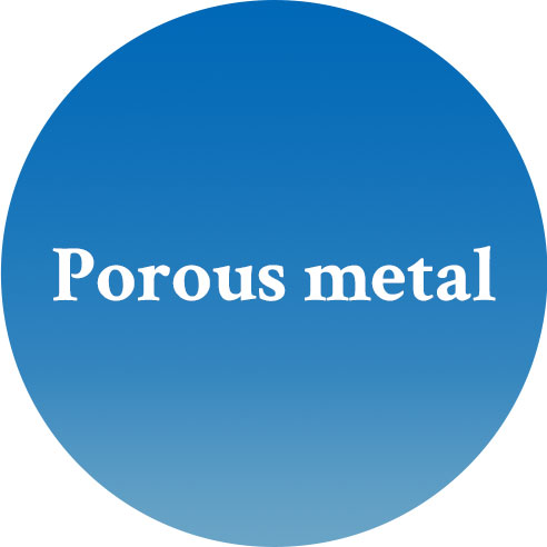 Porous metal