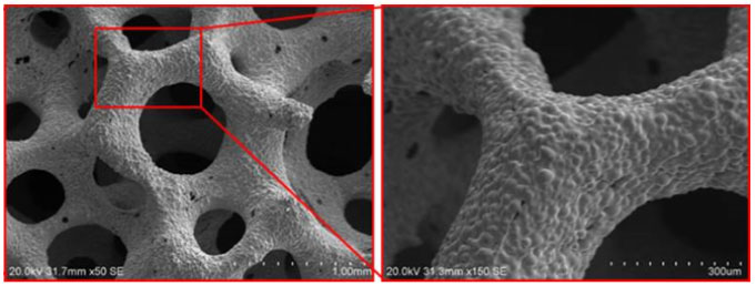 High porosity titanium foam