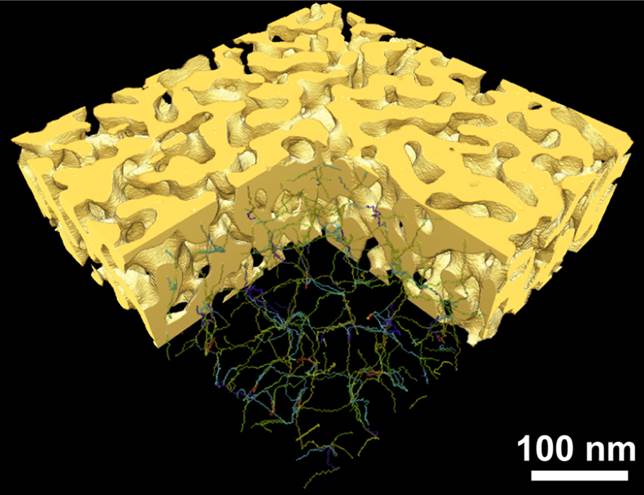 ナノポーラス材の三次元像
